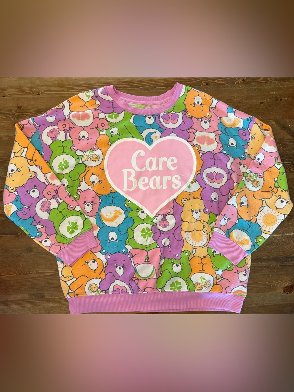 Care Bears Womenโs Logo Sweatshirt Hybrid Apparel (Large)